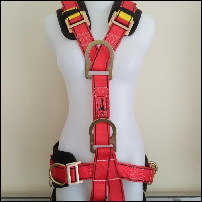 Full Body Harness Karam Pn 56