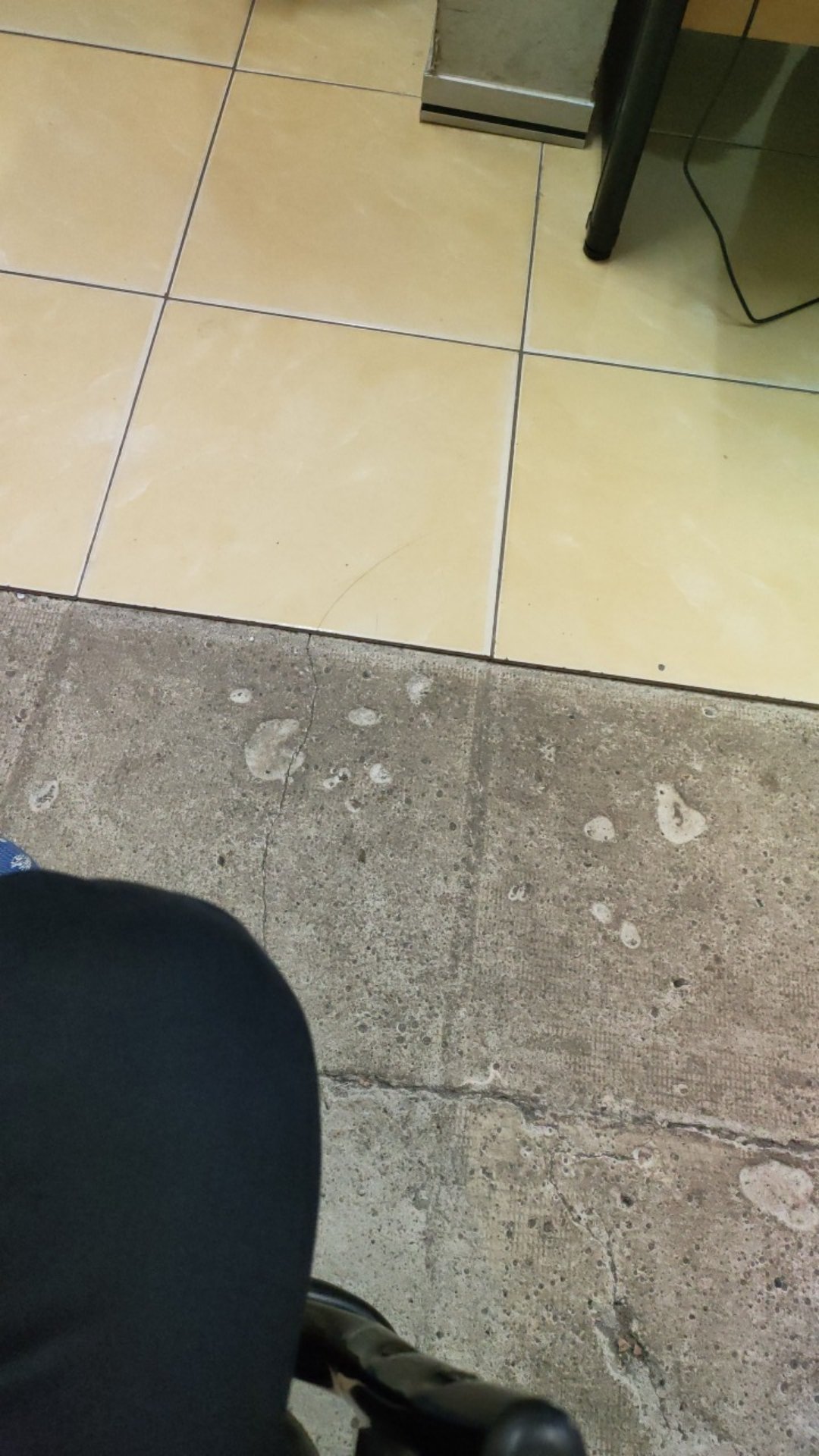 Sea Gull Pakaian . Seagull 25gr X 6 Bungkus . Kapur Barus Kamper Pengharum Lemari Dan Kamar Mandi