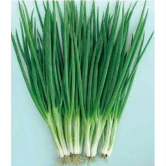 

BAWANG DAUN 1/2 KG
