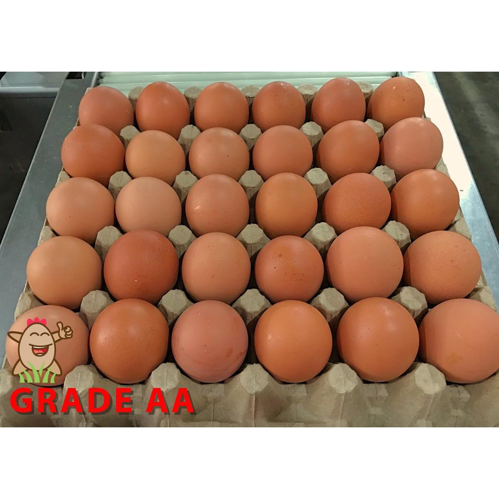 Telur Ayam SPNI Super Jumbo (Grade AA 30 Butir) Sortiran Mesin