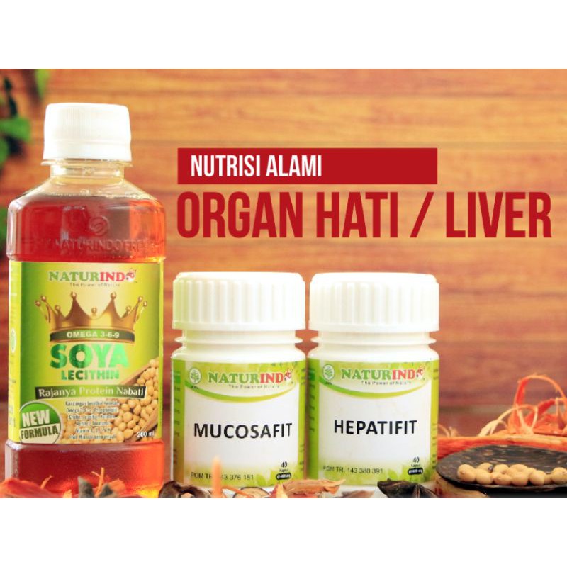 

Nutrisi Alami Naturindo Untuk Organ Hati/Liver