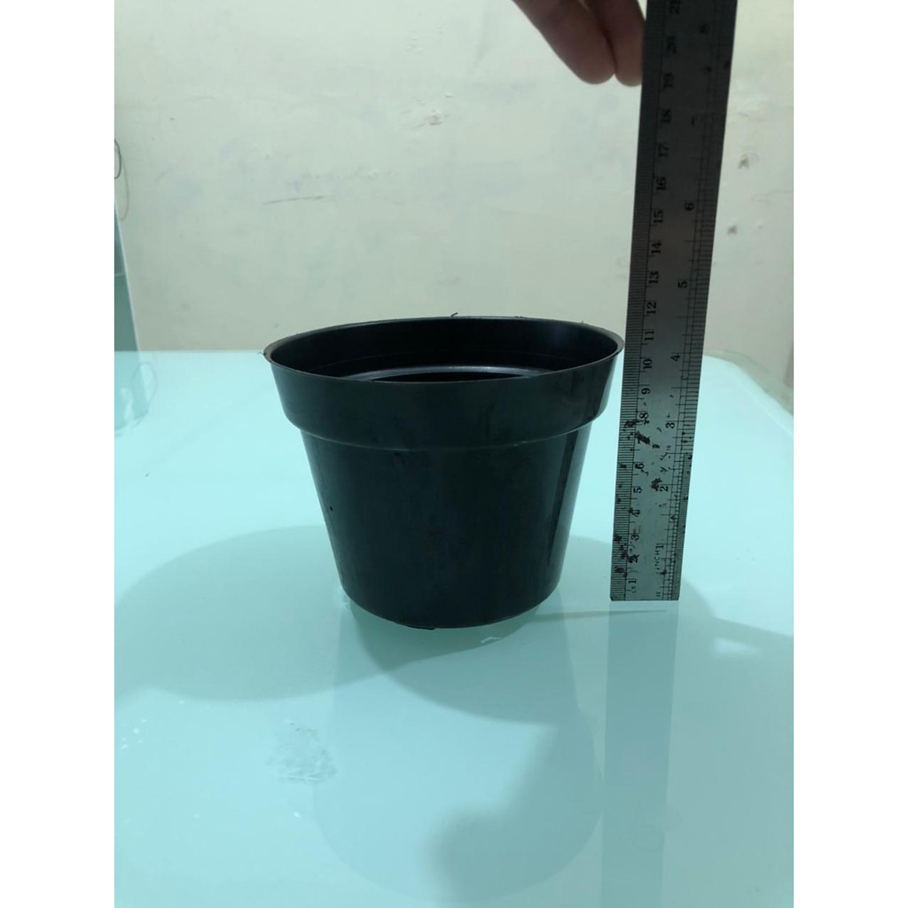 HPP - POT TANAMAN UKURAN 15 CM/POT 15 CM/POT HITAM / POT WARNA/POT TANAMAN POLOS/POT BULAT