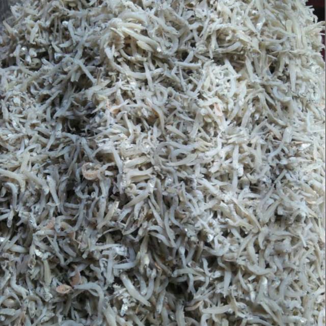 

Teri Medan