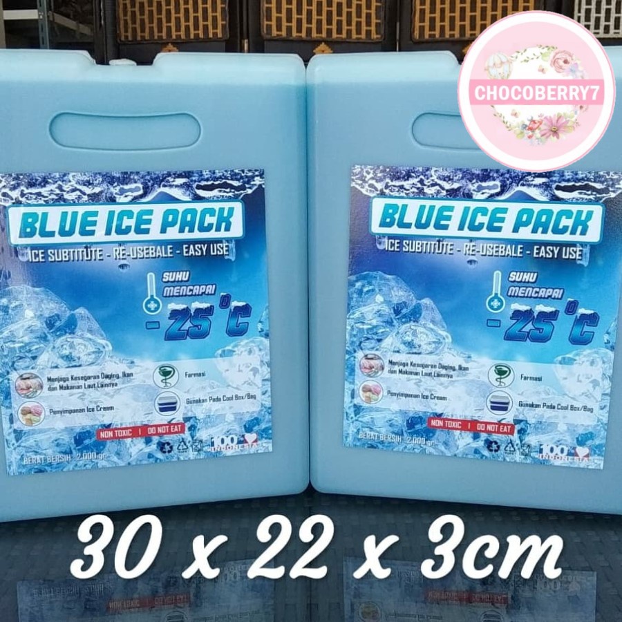 Ice Pack Jumbo Blue Ice Pack Jumbo Reusable Pengganti Dry Ice