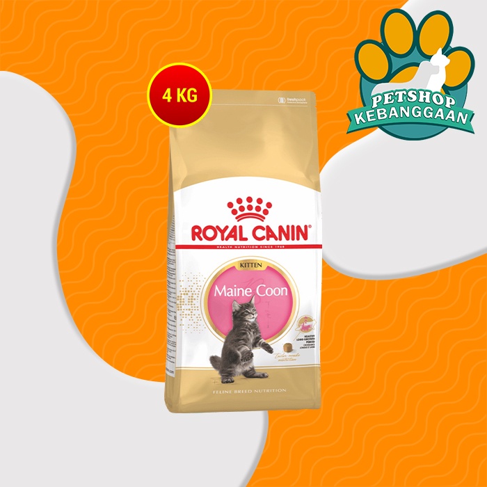 Makanan Kucing Royal Canin Kitten Maine Coon 4 Kg Cat Food Ras Mainecoone Fresh Pack 4kg