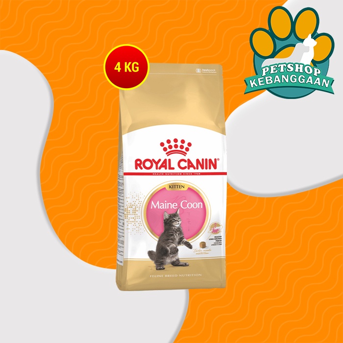 Makanan Kucing Royal Canin Kitten Maine Coon 4 Kg Cat Food Ras Mainecoone Fresh Pack 4kg