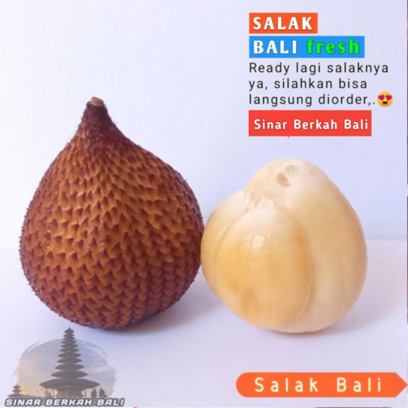 

salak bali dan salak gula