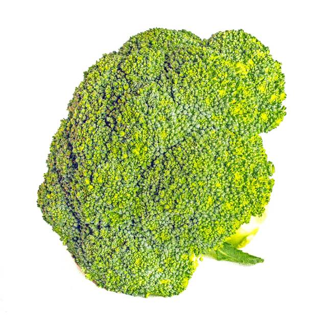

Brokoli 500 gr