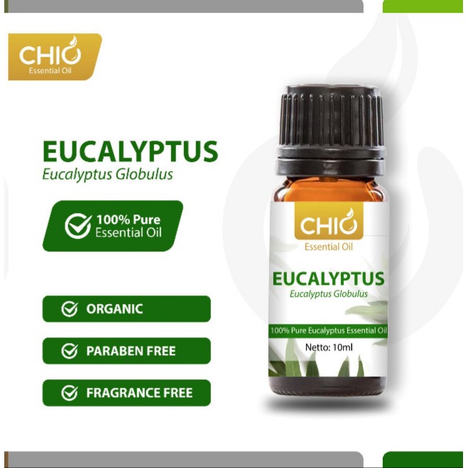 BUY 1 GET 1 Chio  Eucalyptus Essential Oil