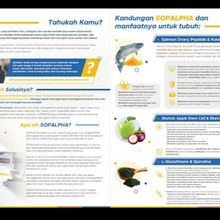 SOPALPHA BIOBOOST 1 BOX  SOP ALPHA BIO BOOST SUPLEMEN KESEHATAN ORIGINAL