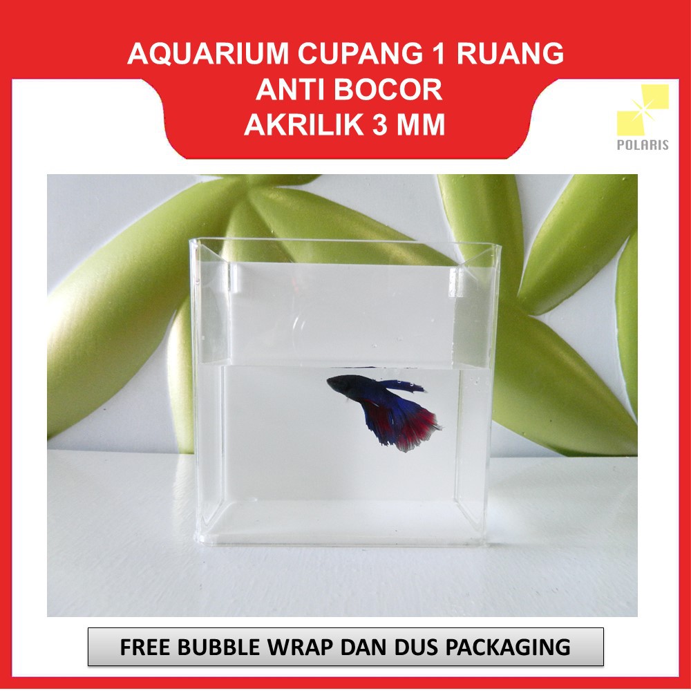 AKUARIUM IKAN CUPANG AKRILIK / AQUARIUM ACRYLIC IKAN HIAS / SOLITER IKAN CUPANG