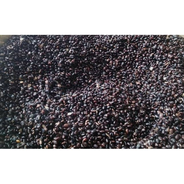 

Ampas Kecap Khas Cirebon