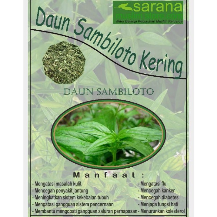 

Daun Sambiloto Kering 250gr Asli Banyak Manfaat