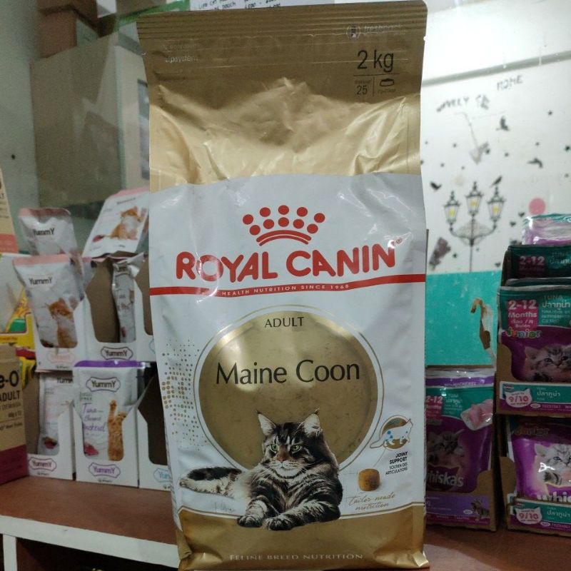 RC Maine coon adult 2kg