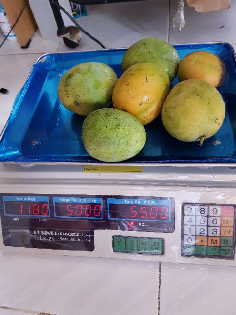 Timbangan Digital 30kg New