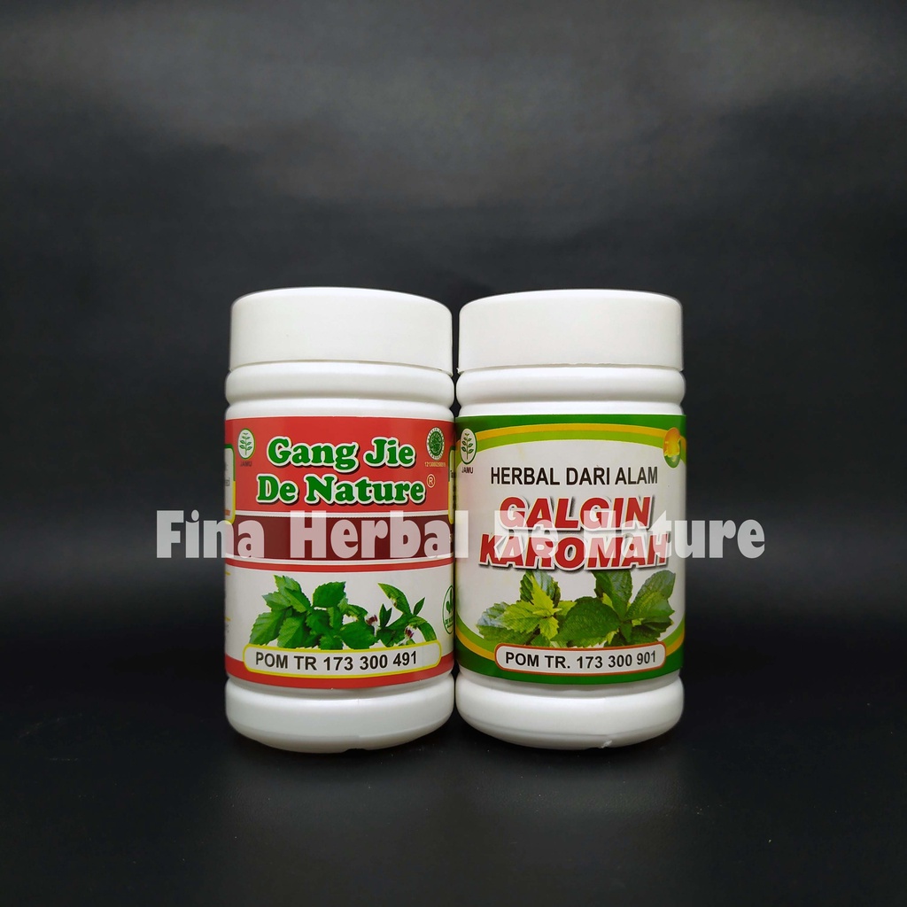 Obat Ginjal, Batu Ginjal, Gagal Ginjal, Batu Empedu Herbal De Nature
