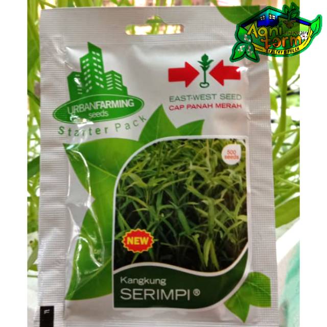 Benih Bibit Kangkung Serimpi - Cap Panah Merah Urban Farming 500 Seeds