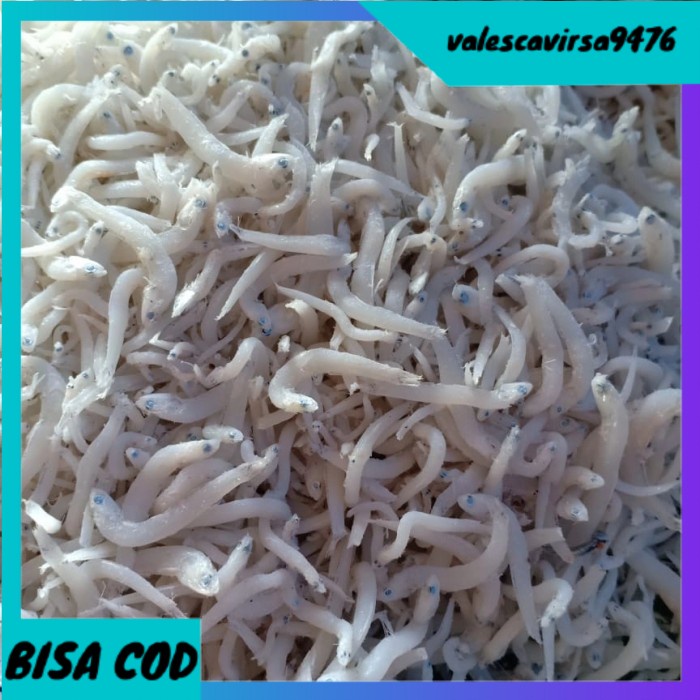 

⭐BISA COD⭐ teri Medan super per 500gram