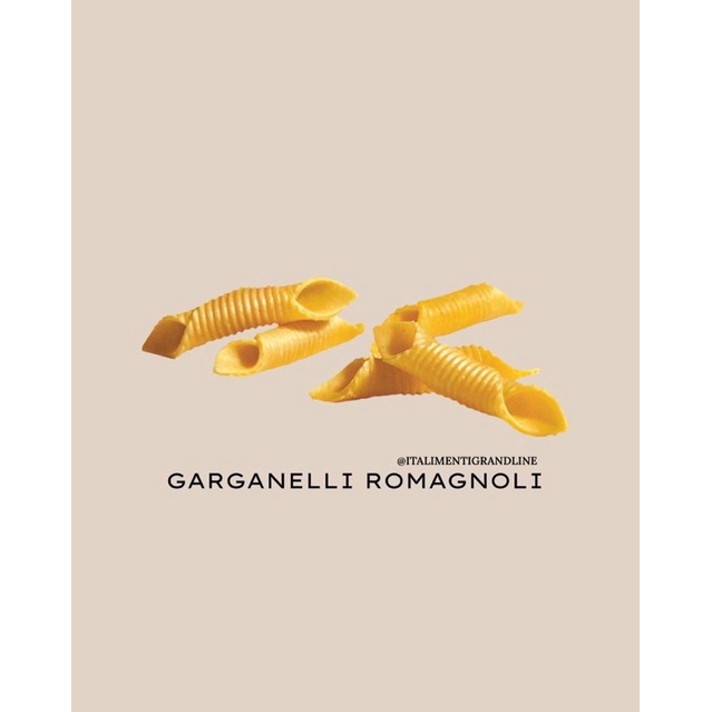 

GarganelliRomagnoli pasta