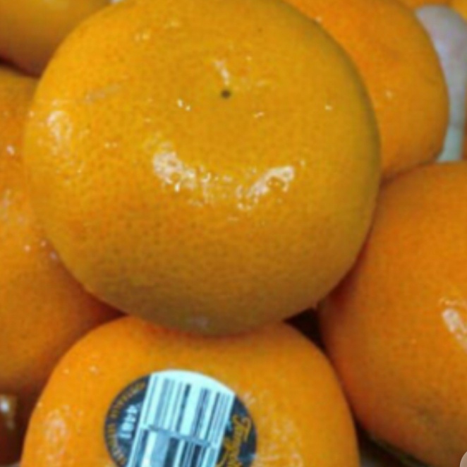 

Kalengbuah- Orange Mandarin Imperial 312Gr -Buah-Kaleng.