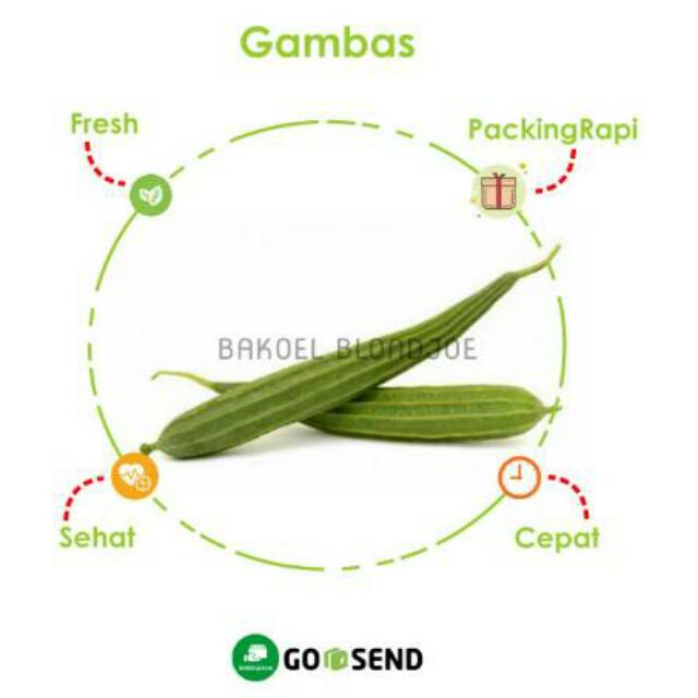 

OYONG / GAMBAS SAYUR SAYURAN SEGAR / FRESH VEGETABLES / VEGETABLE