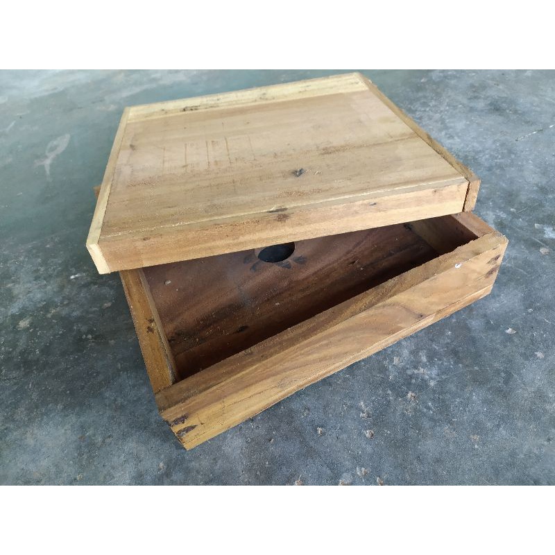 Toping Lebah Itama Beternak Sukses