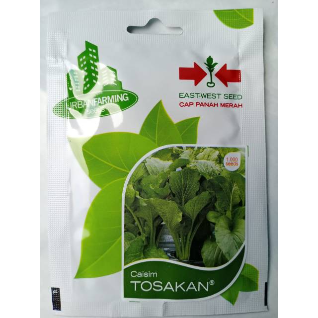 Benih Sawi Manis Tosakan PT East West Seed Panah Merah 1000 Seed