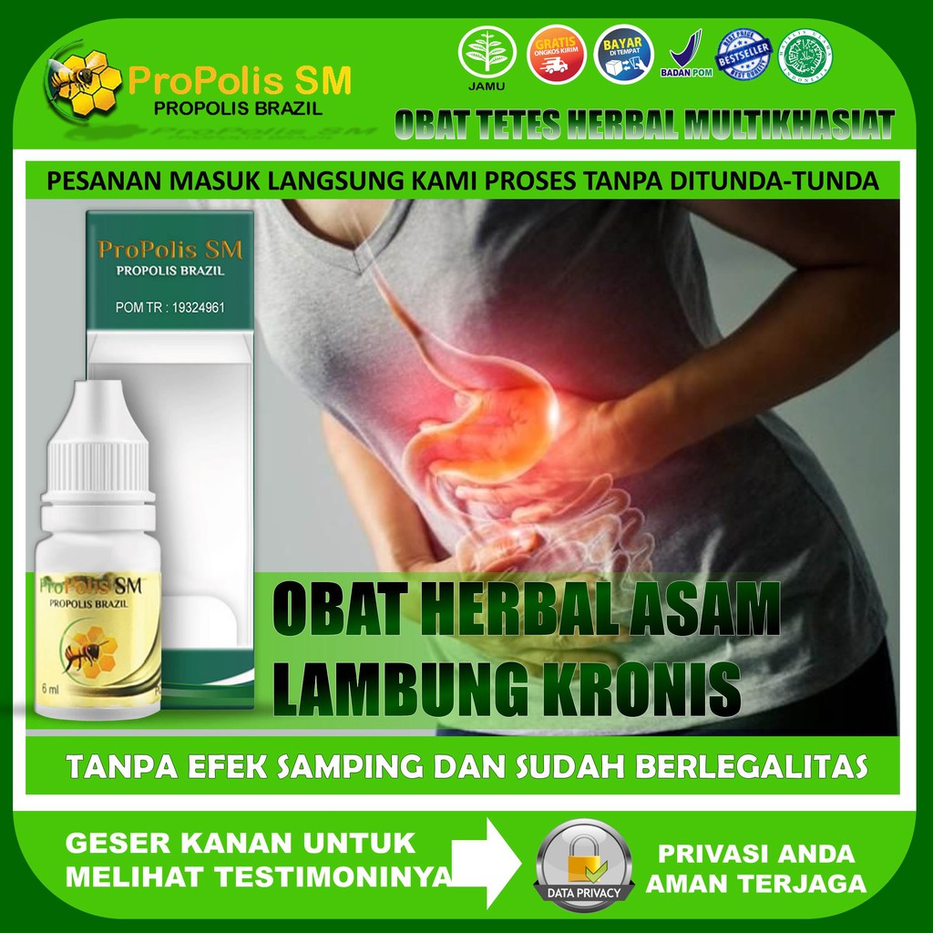 Propolis SM Brazil Obat Herbal Asam Lambung Kronis Obat Luka Lambung Obat Tukak Lambung Obat Maag Ma