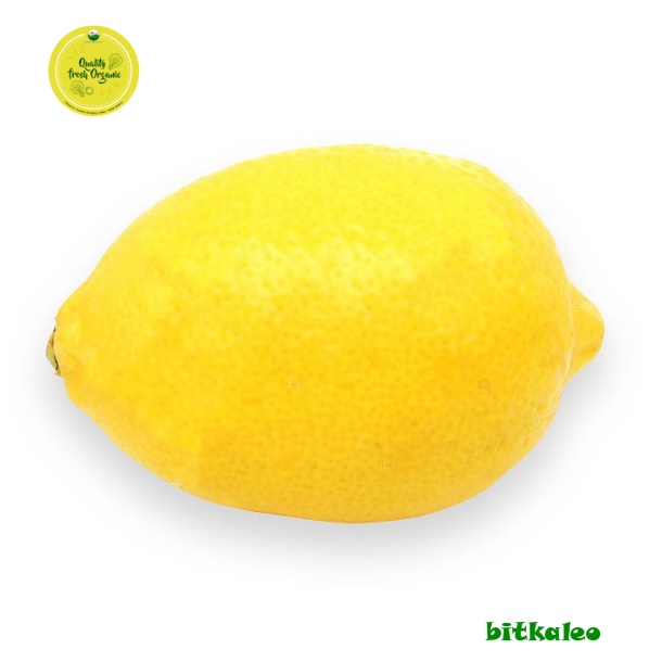 

Jeruk Lemon Organik 500 gr (PO)