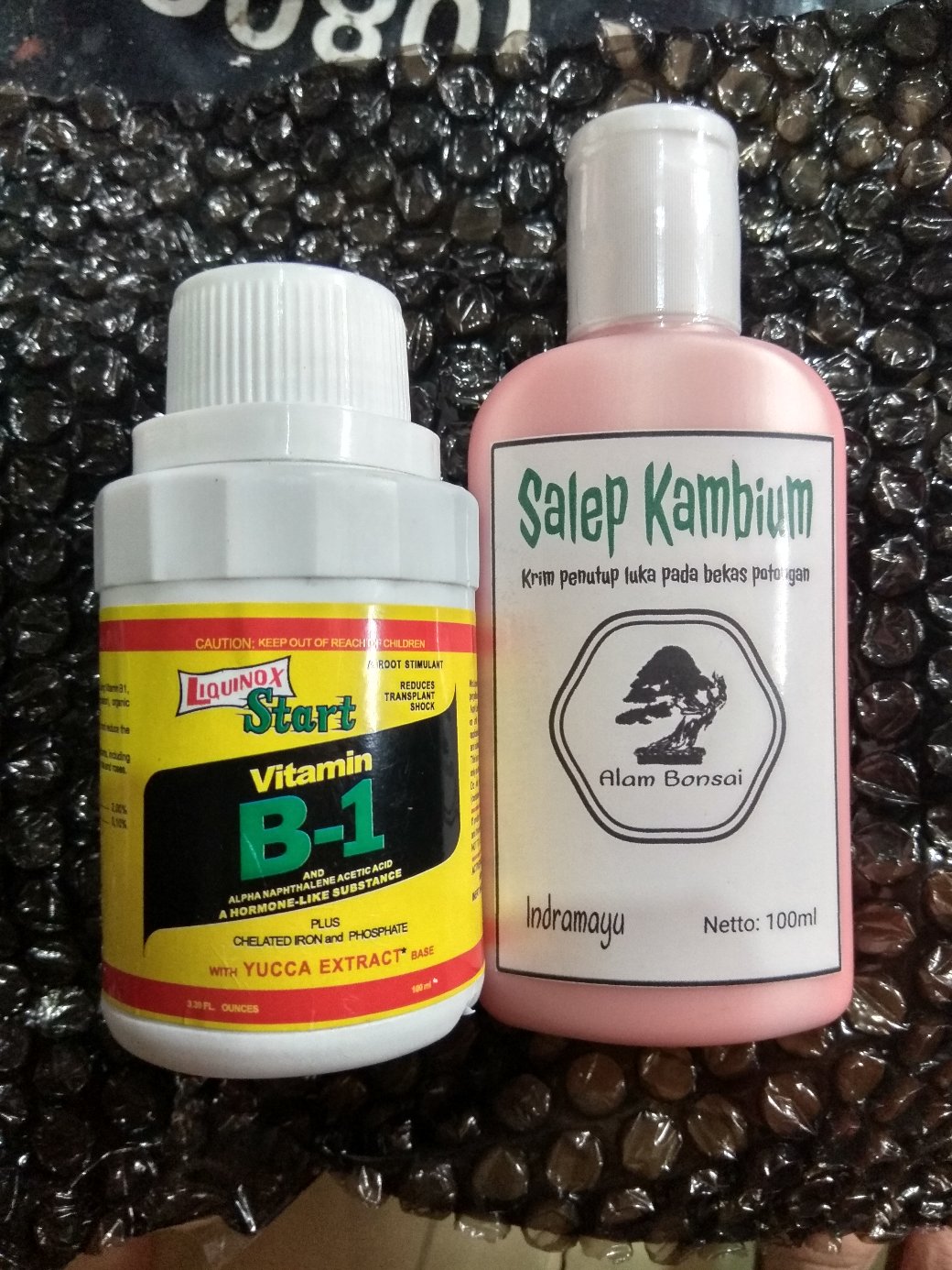 Salep Kambium Bonsai Kemasan 100ml