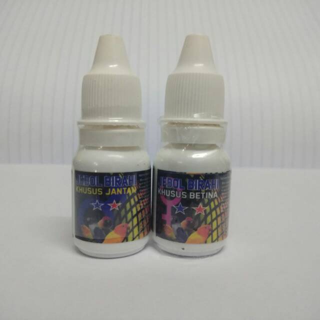 JEBOL BIRAHI by oriq jaya oriq farma