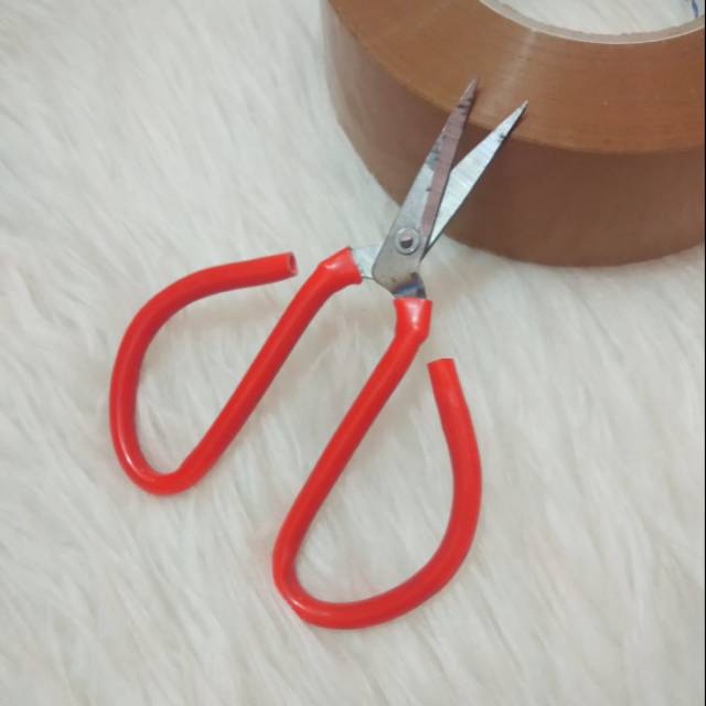 Gunting Kodok Merah Kecil