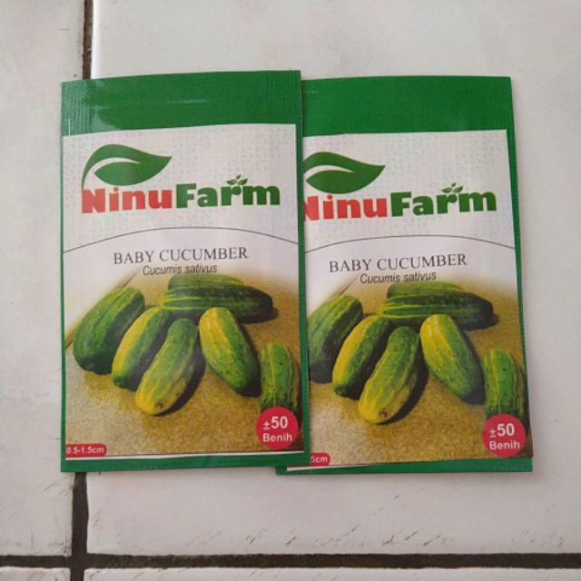 Benih Timun Lalap/baby Cucumber 50seeds