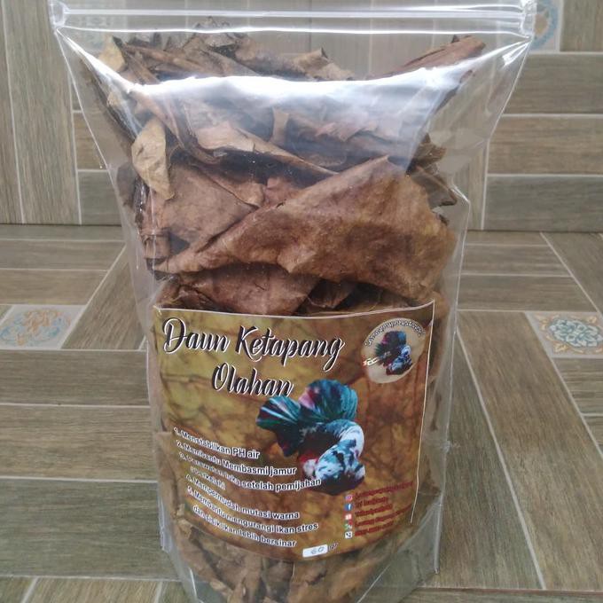 

READY DAUN KETAPANG OLAHAN 60 GRAM / DAUN KETAPANG IKAN CUPANG