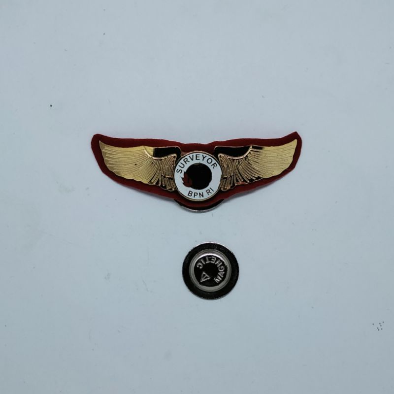 Wing Surveyor BPN RI