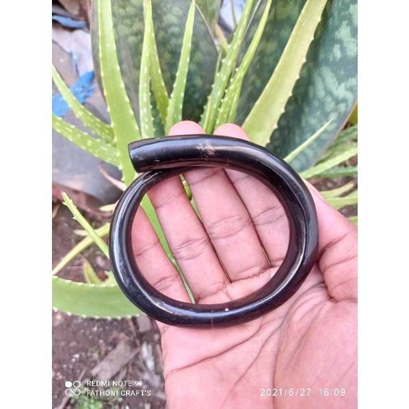 AKAR BAHAR TUNGGAL/TALI ARUS