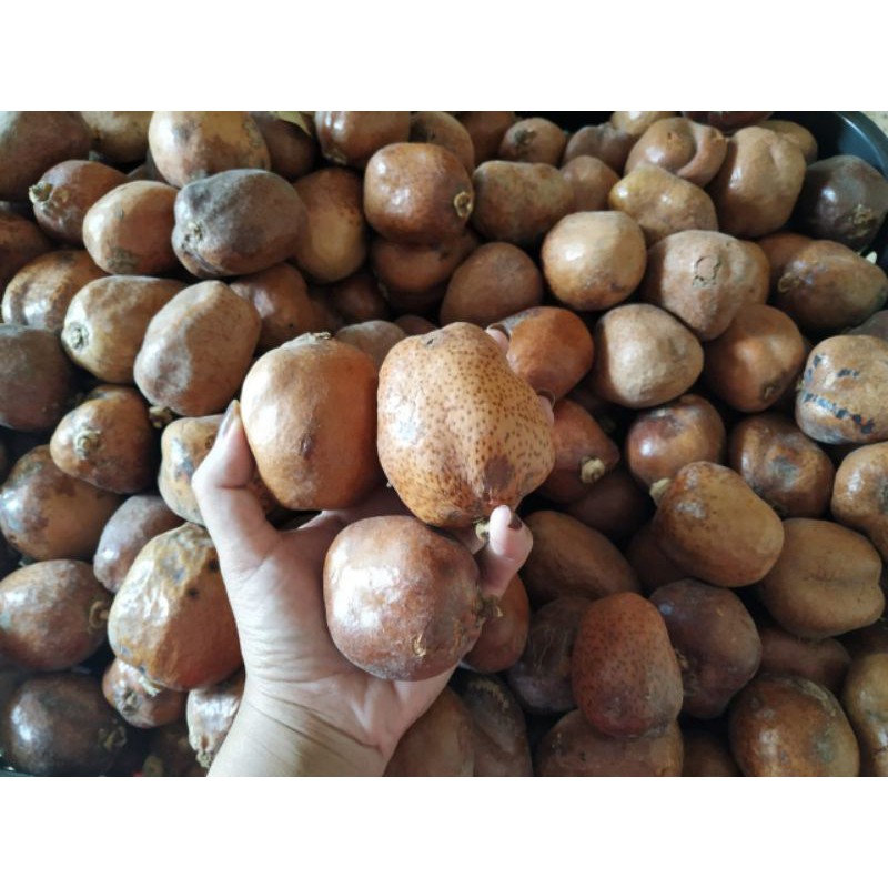 

ZURIAT UTUH, PROMIL
