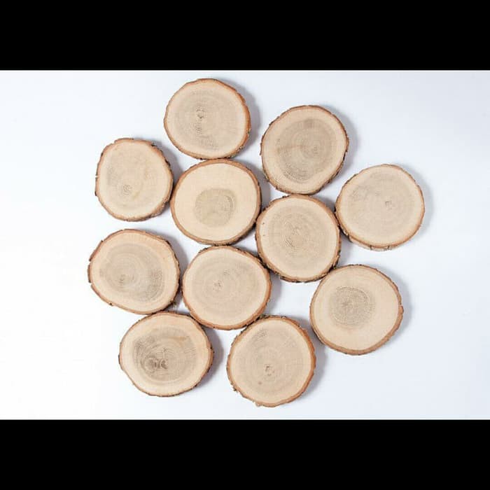 Tatakan kayu 9-10 cmalami Natural wood coaster wood slices