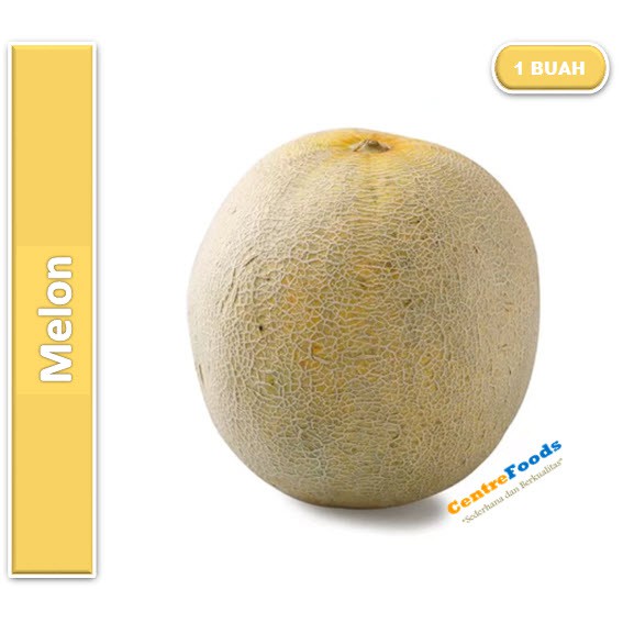 

Buah Melon Fresh - Java Fresh | Size 1,5-2 Kg [ Harga Per BUAH ]