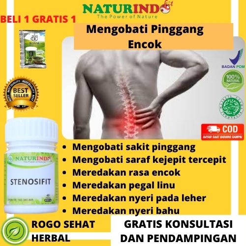 Obat Saraf Kejepit Obat Herbal Syaraf Terjepit Obat Nyeri Sendi Obat Sakit Otot Pinggang Betis Bokon