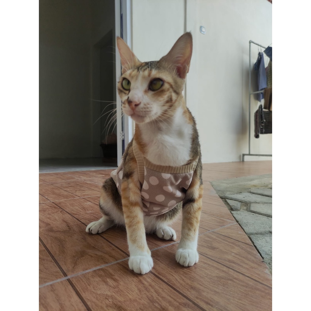 Baju simple tank top lucu untuk kucing dan anjing / baju kucing murah size S M L XL