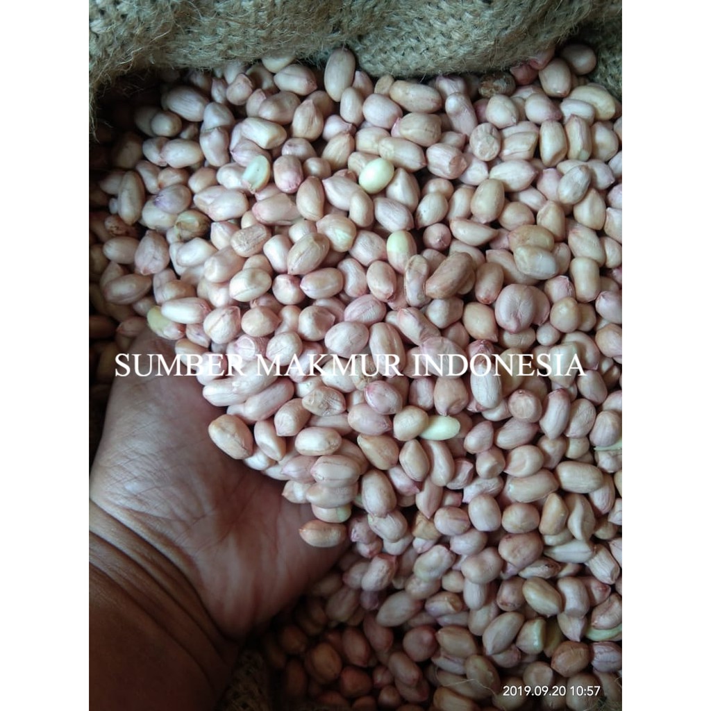 KACANG TANAH 500 GRAM- ECERAN