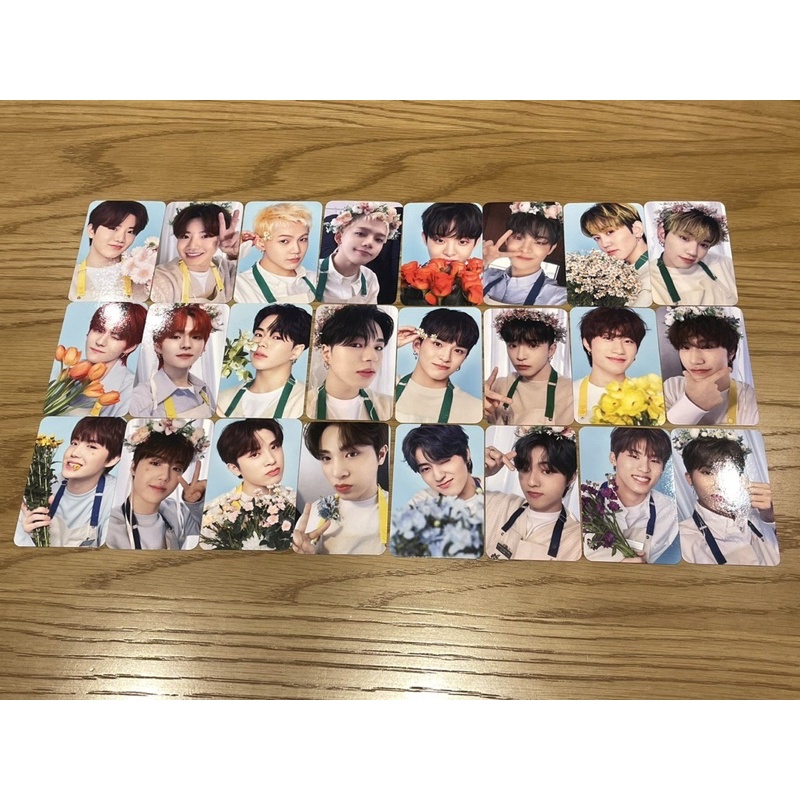 TREASURE tincase blooming Photocard