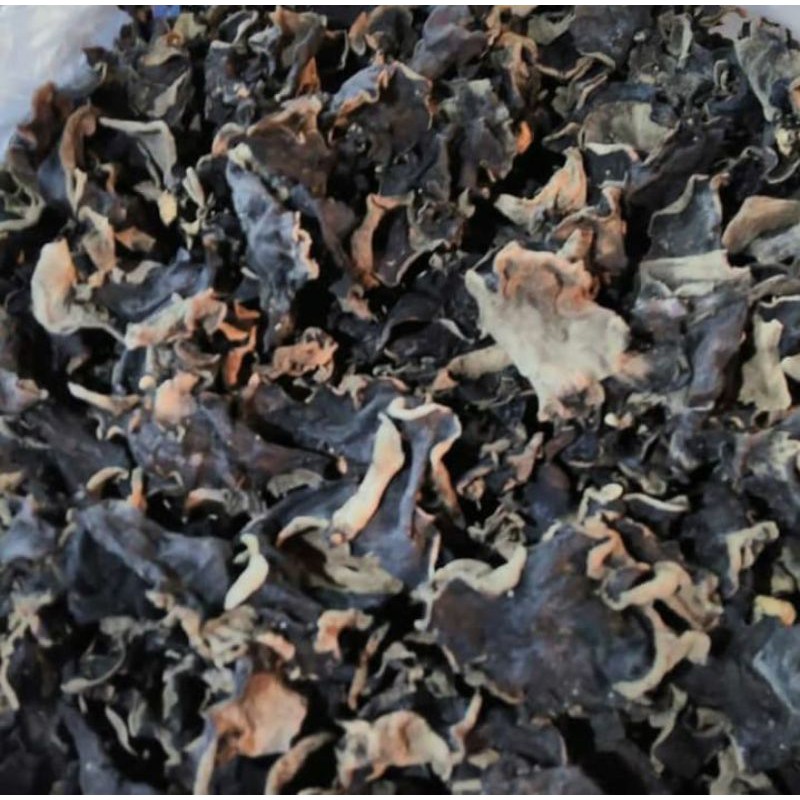 

JAMUR KUPING KERING - 100 GR