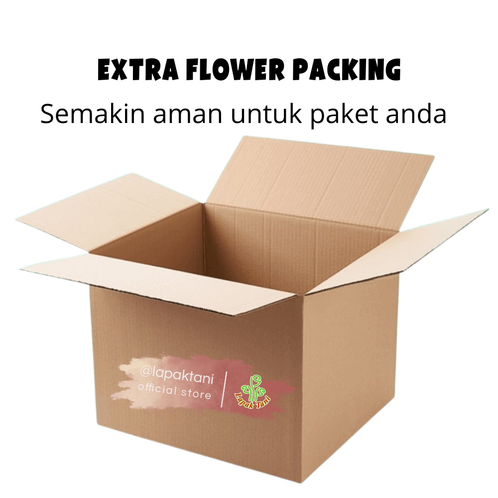 

Kardus Extra Packing Tebal lebih aman Bestiee