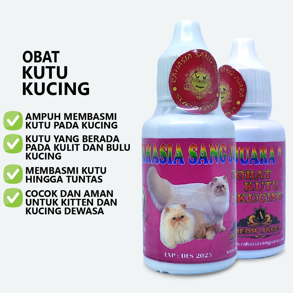 OBAT KUTU KUCING AMPUH MEMBASMI KUTU HINGGA TUNTAS BISA UNTUK KITTEN DAN DEWASA