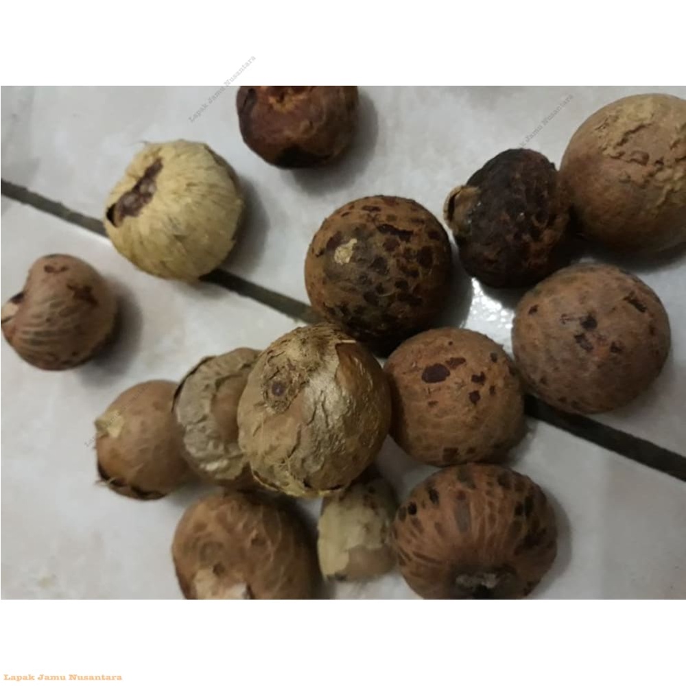 Unik.# biji pinang / jambe kering 250gr 🅼🆄🅁🅰🅷