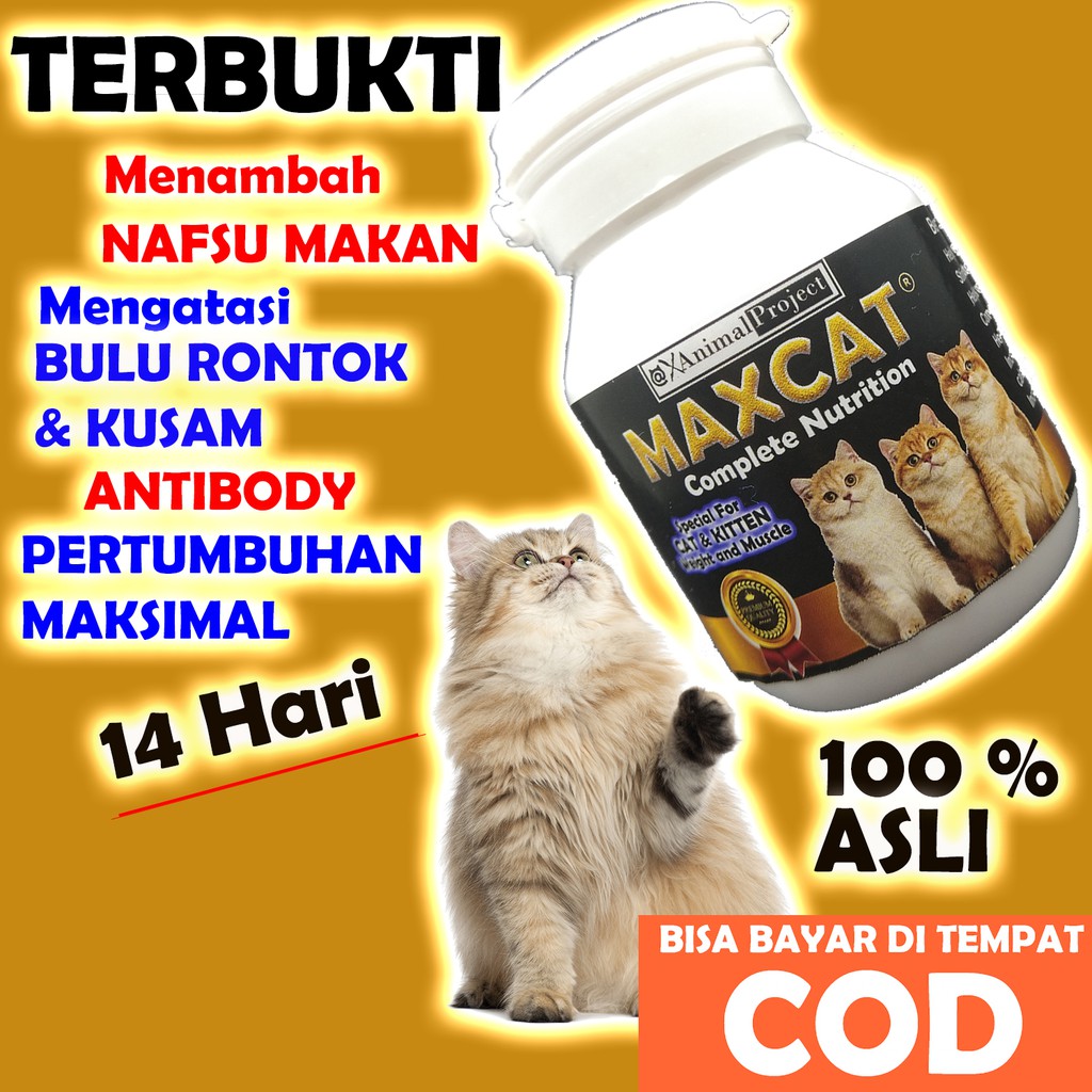 [AC01] VITAMIN SUPLEMEN VITAMIN KUCING PENAMBAH NAFSU MAKAN BULU RONTOK DAYA TAHAN TUBUH - MAXCAT