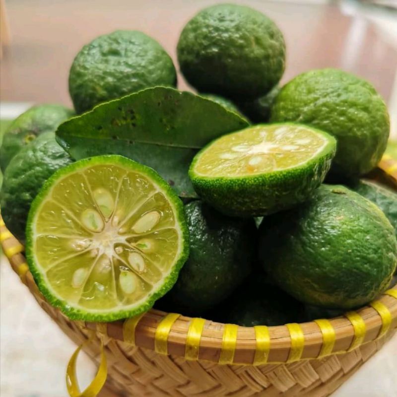 

Limau Kuit Size Besar Per Buah