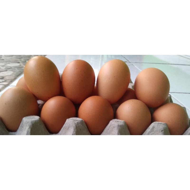 Telur Ayam Negeri 1 kg